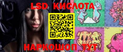 PSILOCYBIN Можга
