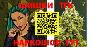 дживик Моздок