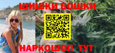 дживик Моздок