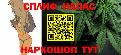 дживик Моздок