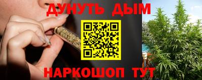 дживик Моздок