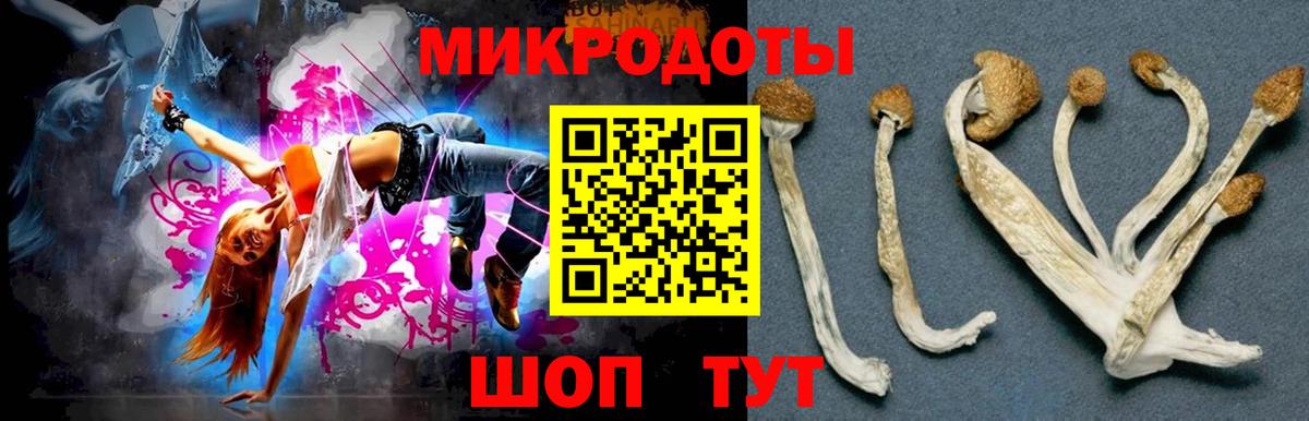 Галлюциногенные грибы Psilocybine cubensis Бузулук